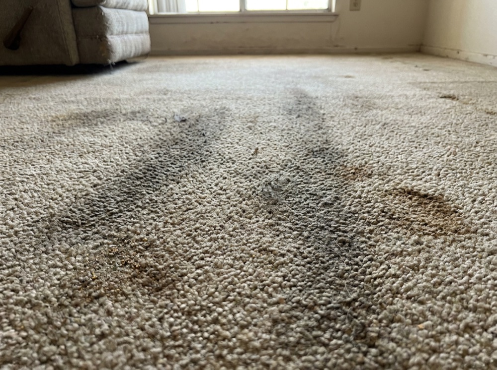 Carpet with worn traffic lanes and ground-in dirt before cleaning