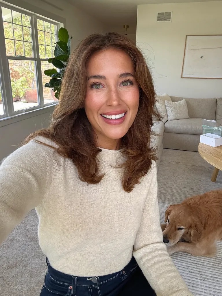 Bright living room with freshly cleaned carpet and a relaxed family dog
